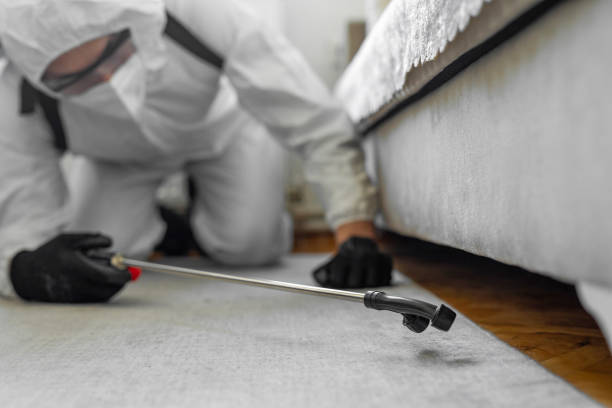 Professional Cockroach Control technician working in Lake Villa, IL